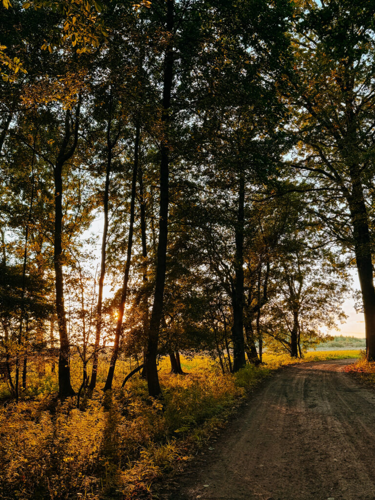 IMG 1826 fotograf Szczecin Aksen Photo