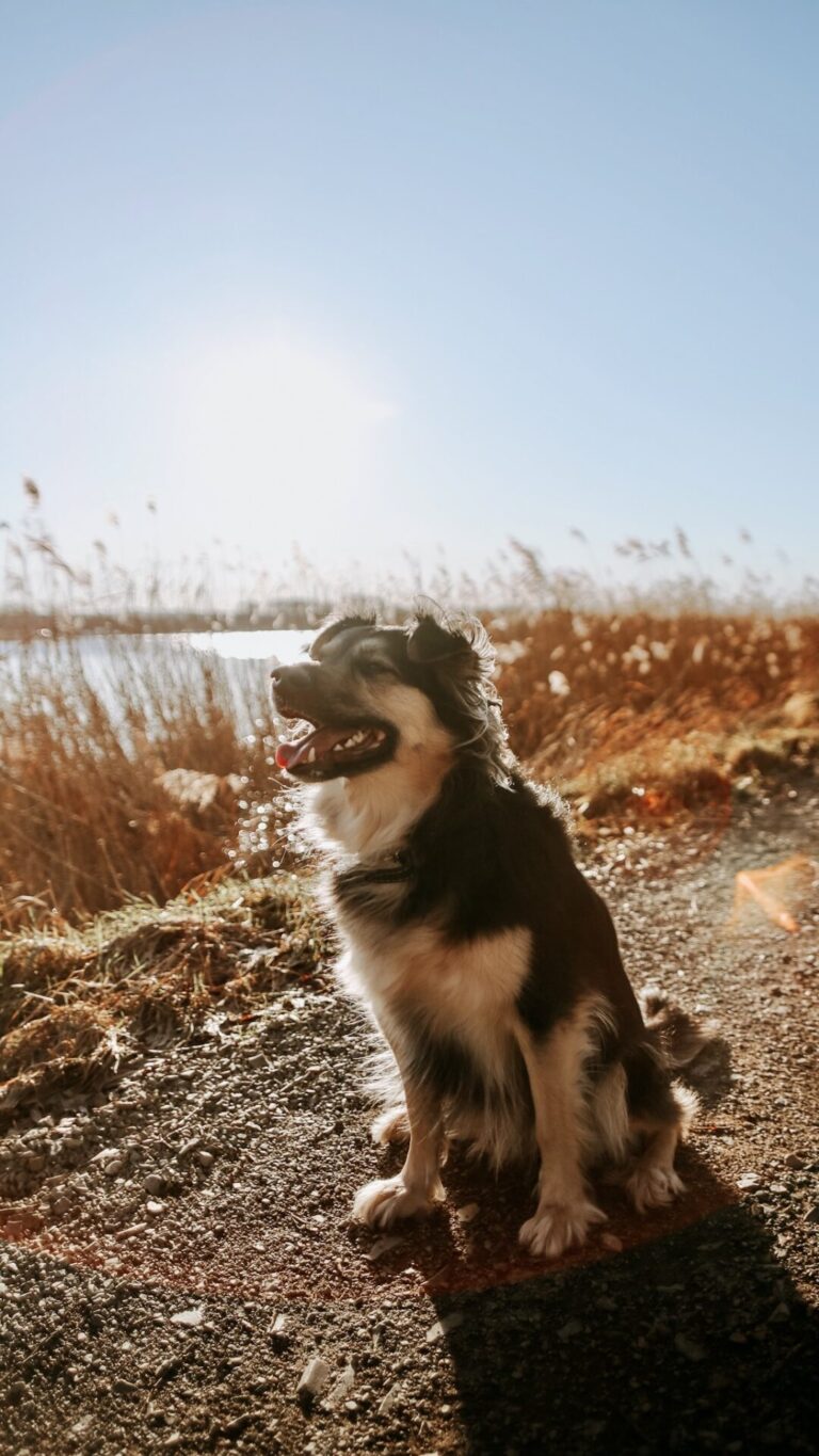 IMG 9487 fotograf Szczecin Aksen Photo